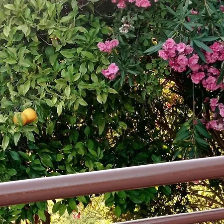 Private Relaxation In Halkidiki Σπίτι διακοπών Σκάλα Φούρκας