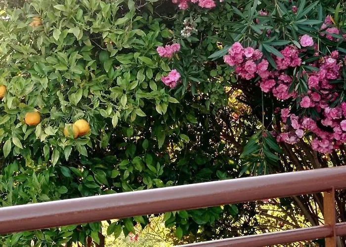 Private Relaxation In Halkidiki Σπίτι διακοπών Σκάλα Φούρκας